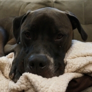 Michael Lee profile photo