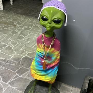 Bernardo Pereira da Silva profile photo