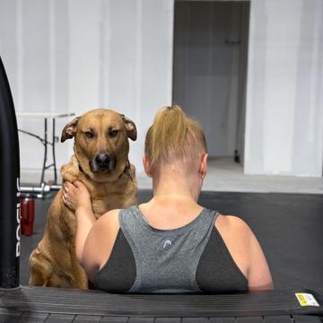 Barb Bowie profile photo