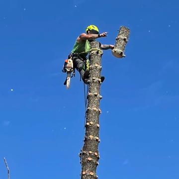 Matt Brown profile photo