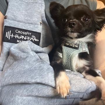 Laura Carter profile photo