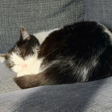 Sofia S profile photo