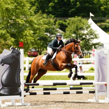 Victoria DeNegre profile photo