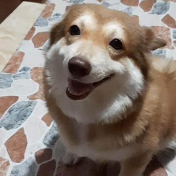 Stephanie Gayle de Laza profile photo