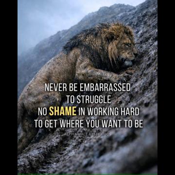 Lisa Murphy profile photo