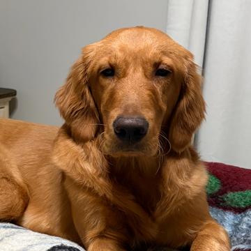 Tyler Lewis profile photo