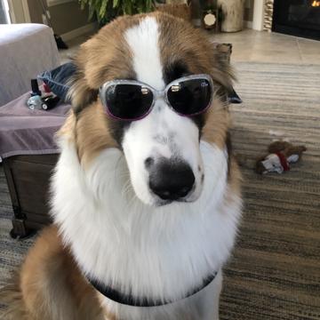 Dante Graham profile photo