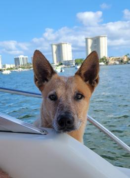 Tim Cozart profile photo