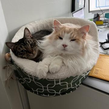 Karen Heizman profile photo