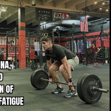 Matthew Levy profile photo