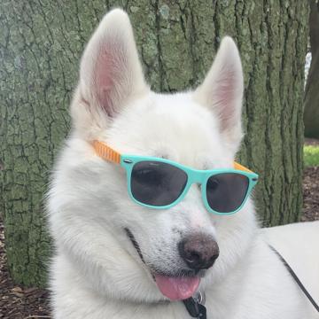 Cal Bauer profile photo