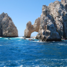 Angela James profile photo