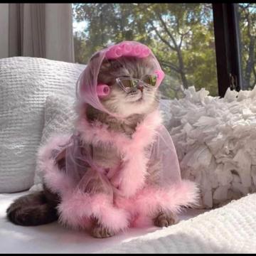 Isaac Hintergardt profile photo