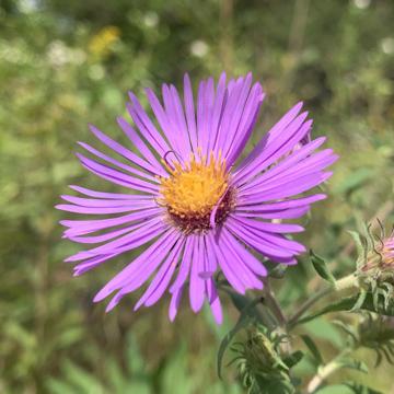 Laura Warden profile photo