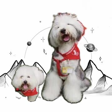 Qian Ran profile photo