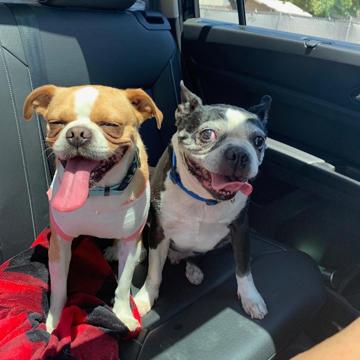 Lothar Boensch profile photo