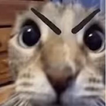 Dongjoo Park profile photo