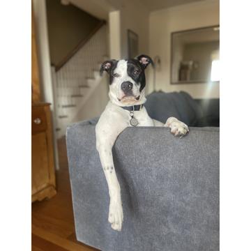 Jennifer Kenney profile photo