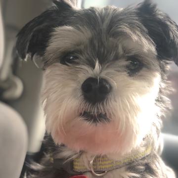 Misty Bebeau profile photo