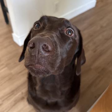 Joshua McMillin profile photo