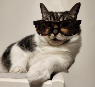 Mathew Mackenzie profile photo