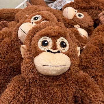 sooyeon choi profile photo