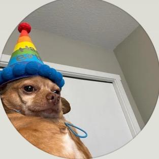 Christopher Welsh profile photo