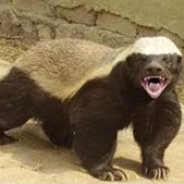 Brian Decker profile photo