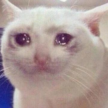 Nina Sanders profile photo