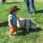 Jesse Ashe profile photo