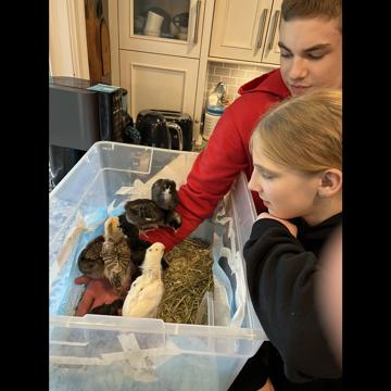 Tamara Nielsen profile photo