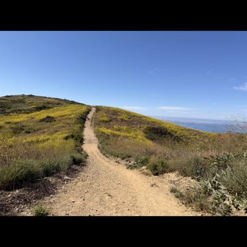 Mary Sabalburo profile photo