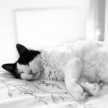 Gaizka Luis Morán profile photo