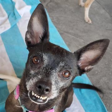 Teresa Gallardo profile photo