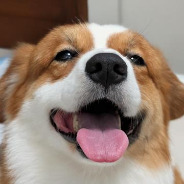 Van Manansala profile photo