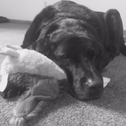 Kristopher Miller profile photo