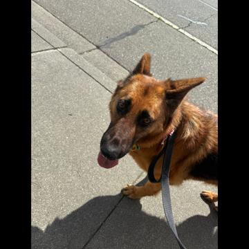 Kennedy Heitman profile photo