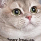 Todd Stone profile photo