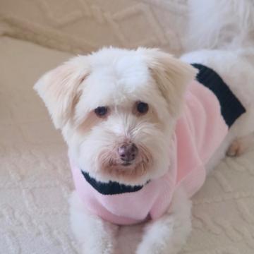 John Benedict Ty profile photo