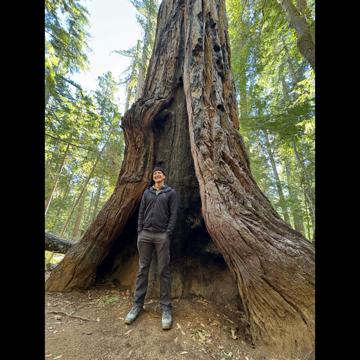 Kenneth Cox profile photo