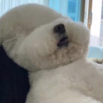 KIM YERIN profile photo