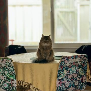 Jeff Mendoza profile photo