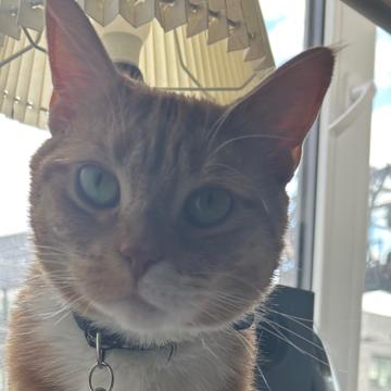 Zoe Adogli profile photo