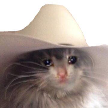 Christopher Weber profile photo