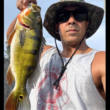 Dustin Myers profile photo