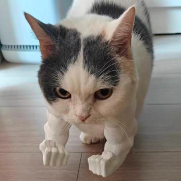 Johnson Shao profile photo