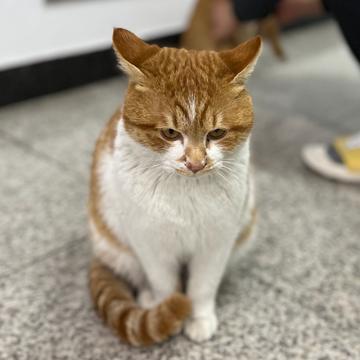 JINHWAN KIM profile photo