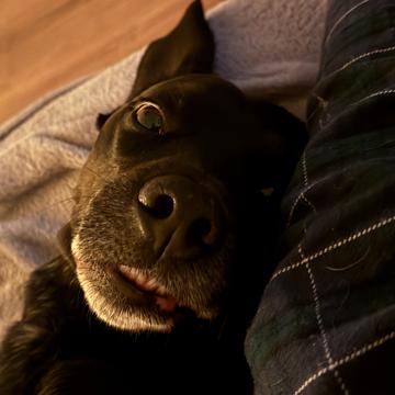 Oscar Romero profile photo