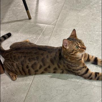 Suwanan Krongsub profile photo