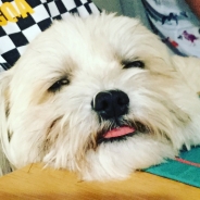 Vanessa Hoath profile photo